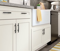 Transitional Kitchen TrueColor Icy Avalanche 4