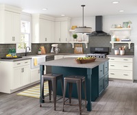 Transitional Kitchen TrueColor Icy Avalanche