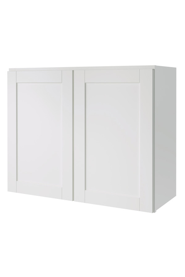 Arcadia 24 Inch Double Door Wall Cabinet