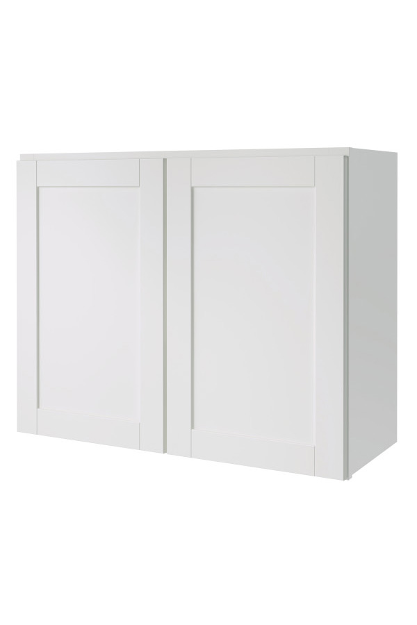 24InchDoubleDoorWallCabinet