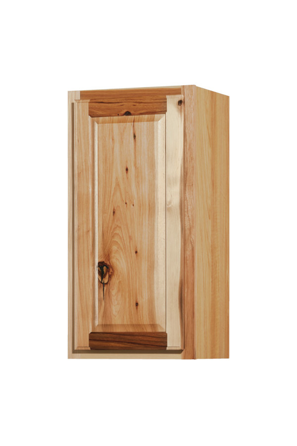 Denver 30 Inch Single Door Wall Cabinet