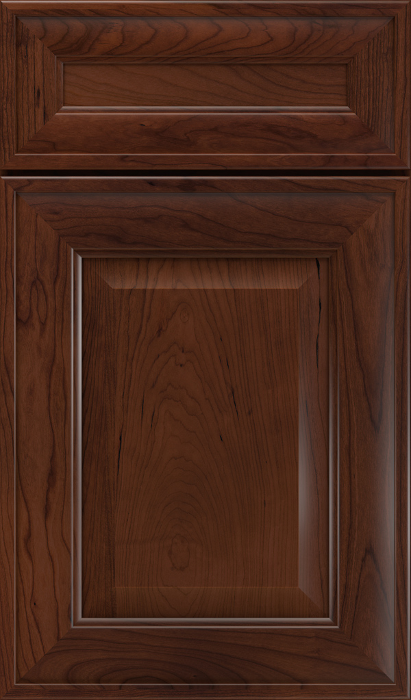 dulcet_5pc_cherry_raised_panel_cabinet_door_tundra