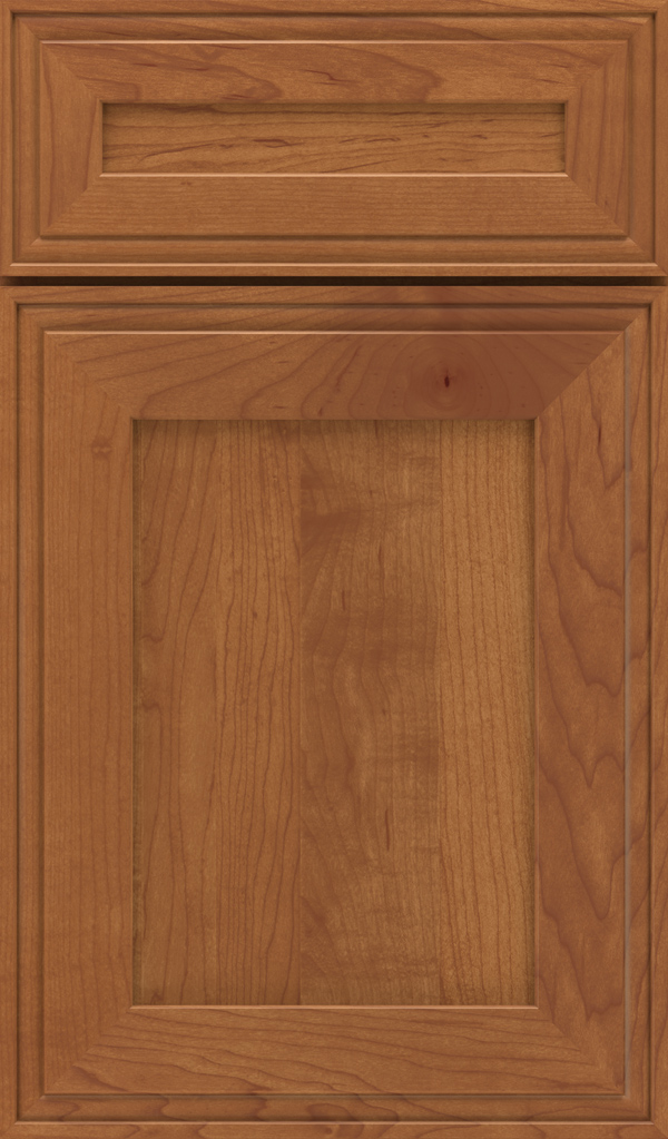 delta_5pc_maple_recessed_panel_cabinet_door_single_malt