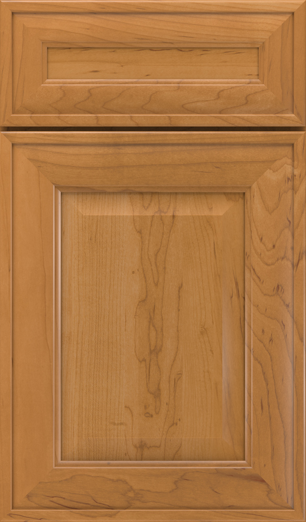 dulcet_5pc_maple_raised_panel_cabinet_door_sahara