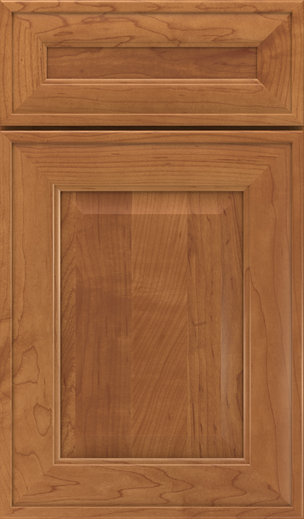 dulcet_5pc_maple_raised_panel_cabinet_door_single_malt
