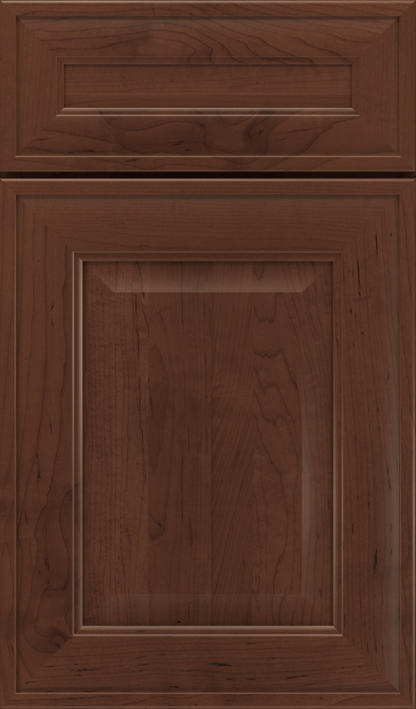 dulcet_5pc_maple_raised_panel_cabinet_door_tundra