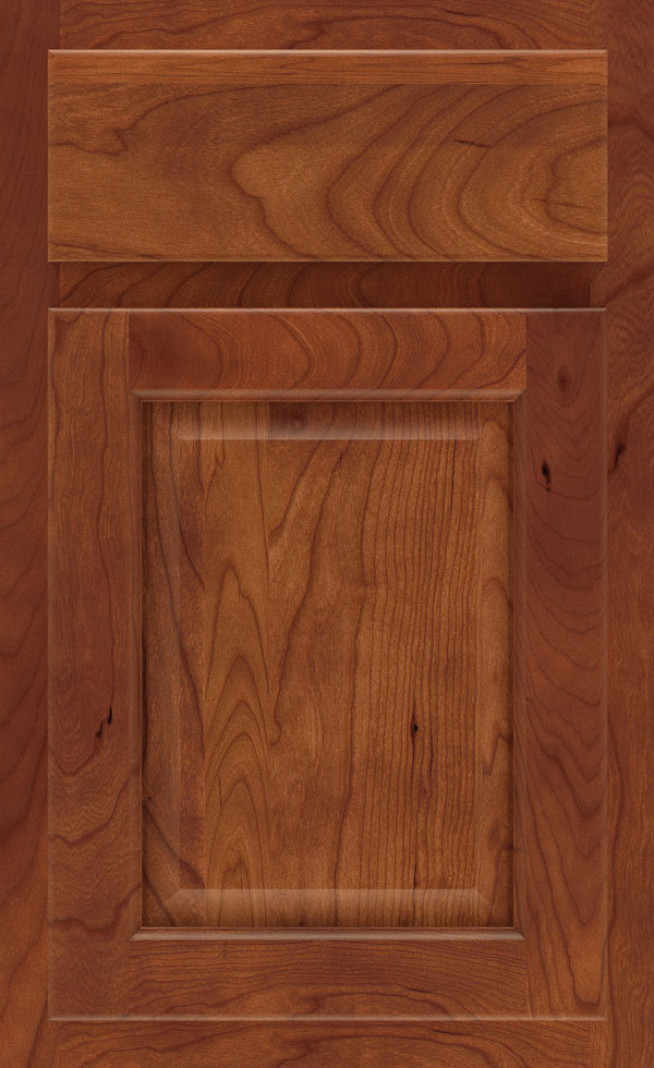 farrell_cherry_raised_panel_cabinet_door_cattail
