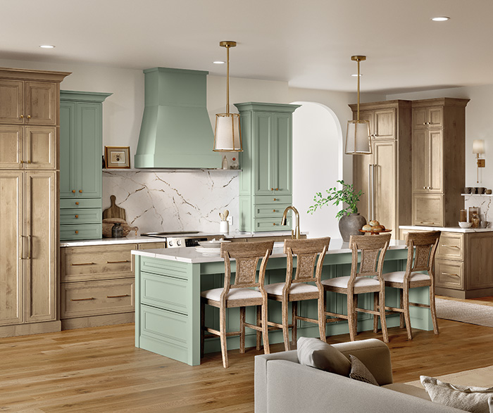 Transitional Peyton Painted and Woodtone Kitchen Cabinets 2