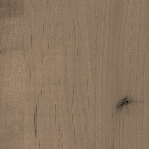 Sparrow